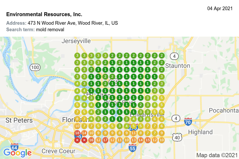 ERI Mold Removal GeoGrid After